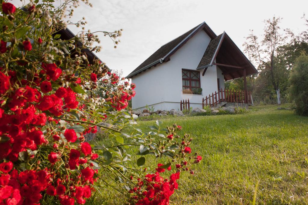 Holiday Home Jazacka Bajka ヴルドニーク エクステリア 写真