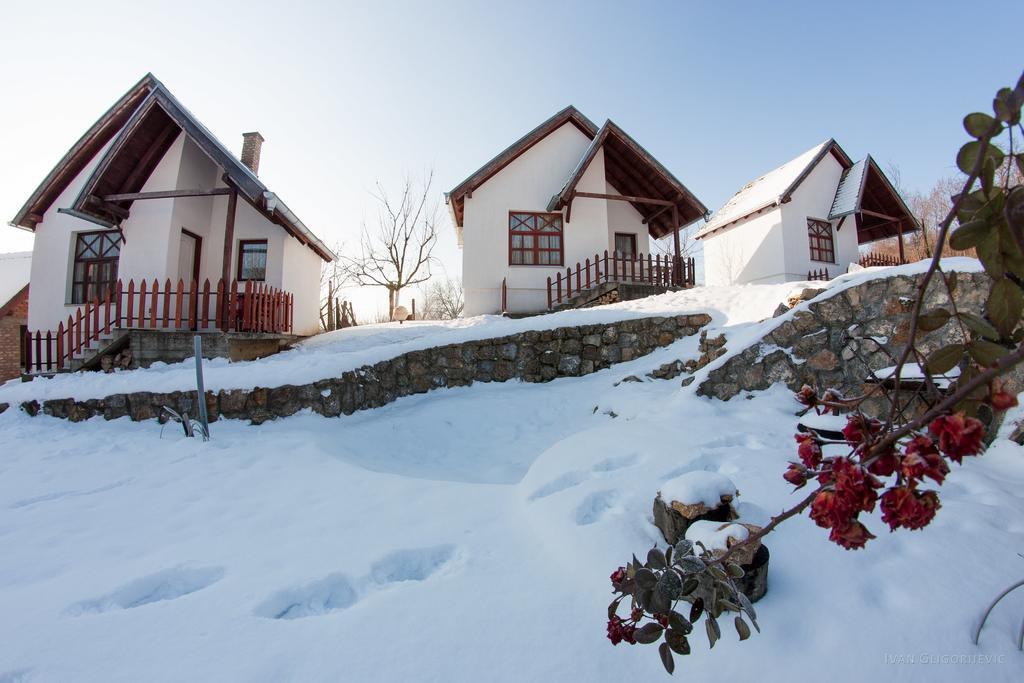 Holiday Home Jazacka Bajka ヴルドニーク エクステリア 写真